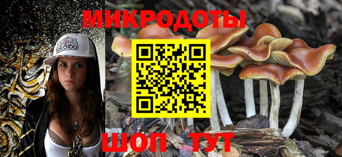 Псилоцибиновые грибы MAGIC MUSHROOMS  Вход с VPN  Рассказово 